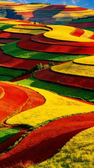 Kunming Family Trip｜2 Days 1 Night at Dongchuan Red Land with a 4-Year-Old, Easy and Stress-Free for Moms