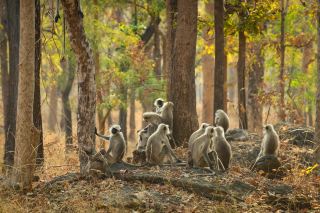 アメリア・サファリ（Ameliya Safaris）との忘れられない冒険。
