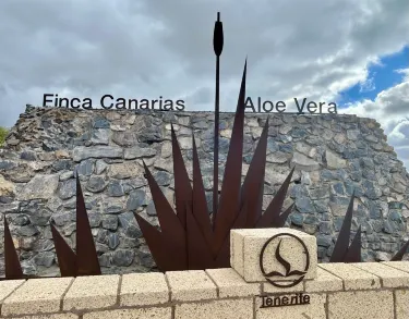 Wonderful Aloe Vera Farm Visit | Trip.com Guimar