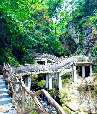 Bring your little ones and stay at the Forest Inn: Ultimate Travel Guide Revealed
