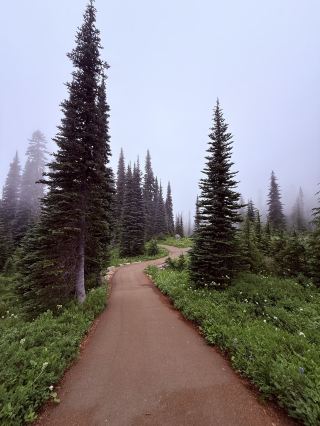 Mount Rainier｜Difficulty ranking tested with a 2-year-old (more than