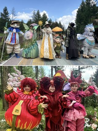 Fengning Colorful Forest | Healing getaway + detailed accommodation guide