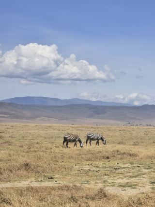 7日間の夏のタンザニア旅行は安心で写真映えも抜群