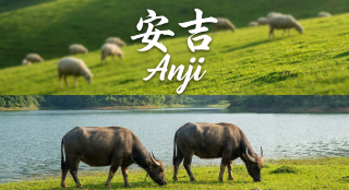 不是巴厘島去不起而是安吉的山野度假更有性價比！