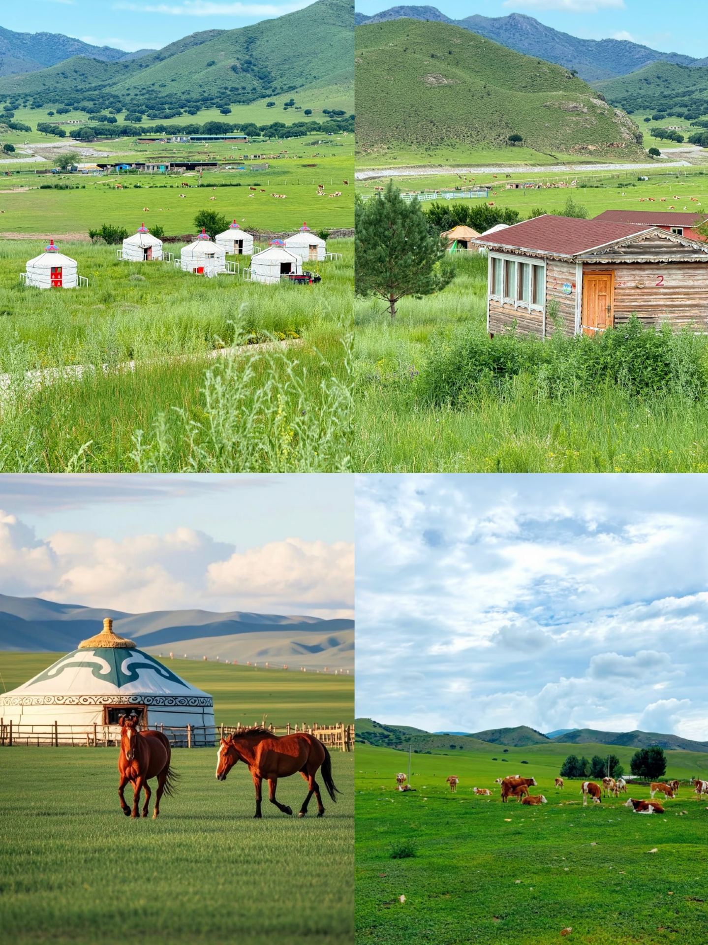 Escape Shenyang: 4 hidden gem cities reachable by high-speed rail! The ultimate short trip