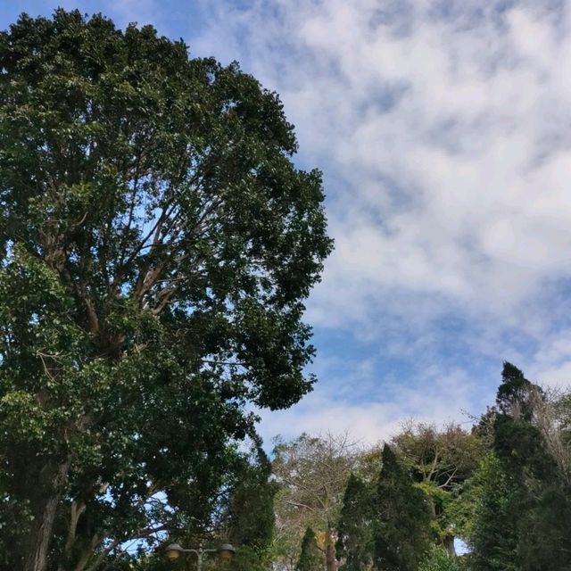 美麗的偶像劇景點-品園日式庭園