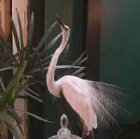 ฮาเตียน คาเฟ่ พระนคร
