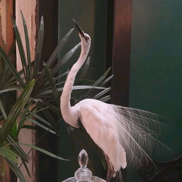 ฮาเตียน คาเฟ่ พระนคร