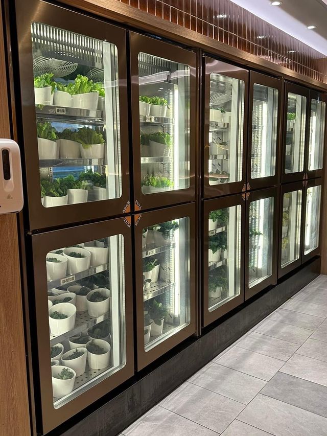 新鮮餸菜客氣侍應 葵芳新都會一鍋堂