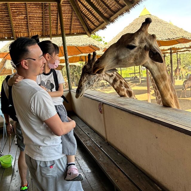 近距離跟老虎、長頸鹿和駱駝互動的超有趣動物園 🦒🐯🐫