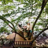 Tree Pods , Afternoon Tea on Tree 