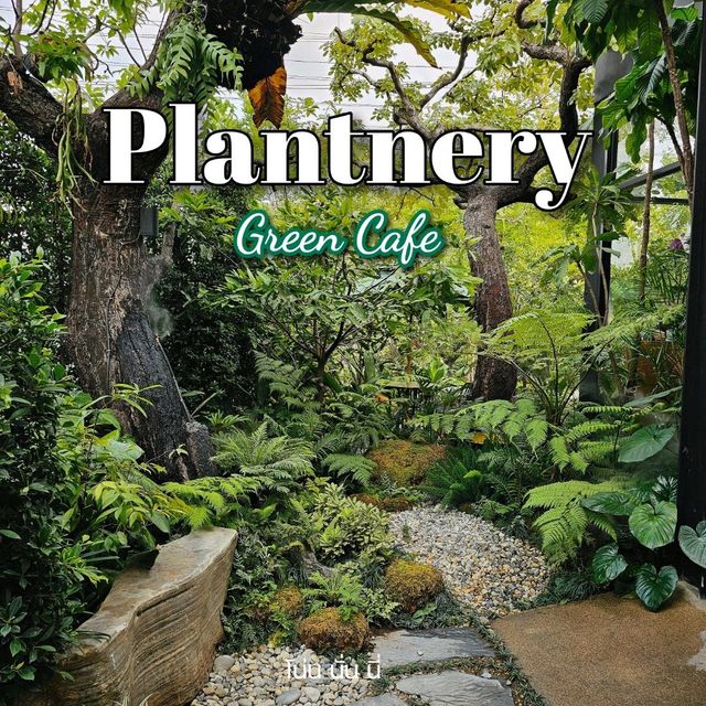 จิบกาแฟในสวนป่านนทบุรี ที่ Plantnery Green Café