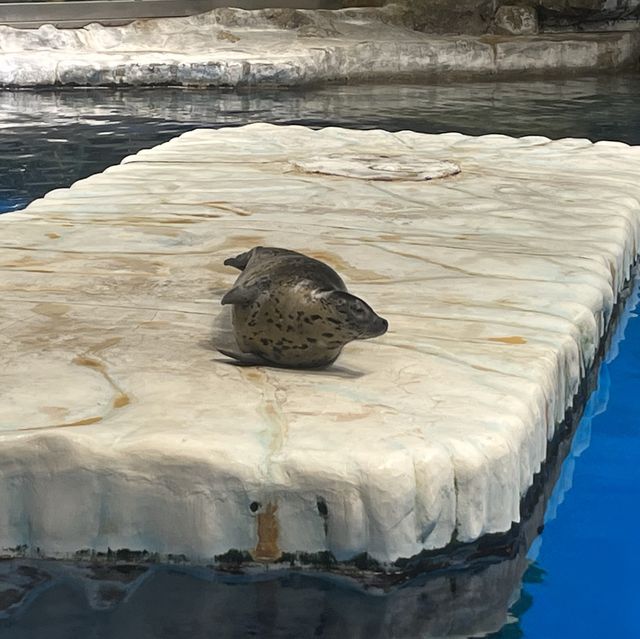 海洋公園：北極之旅