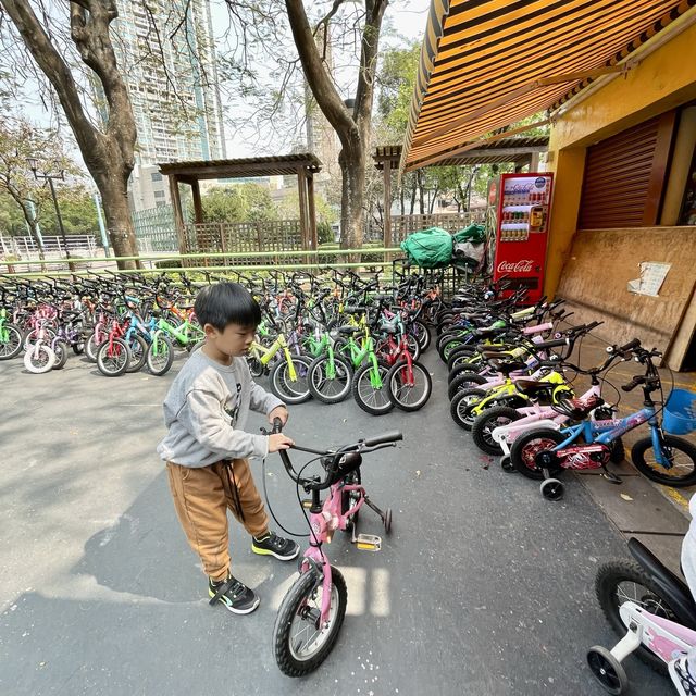 親子單車！市區都有得踏子母單車！