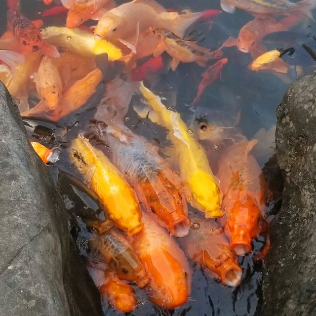The Wonders & Magnificient of Yangshuo, Guilin 