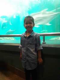 ตื่นตาโลกใต้น้ำ Rayong Aquarium🐠🐡