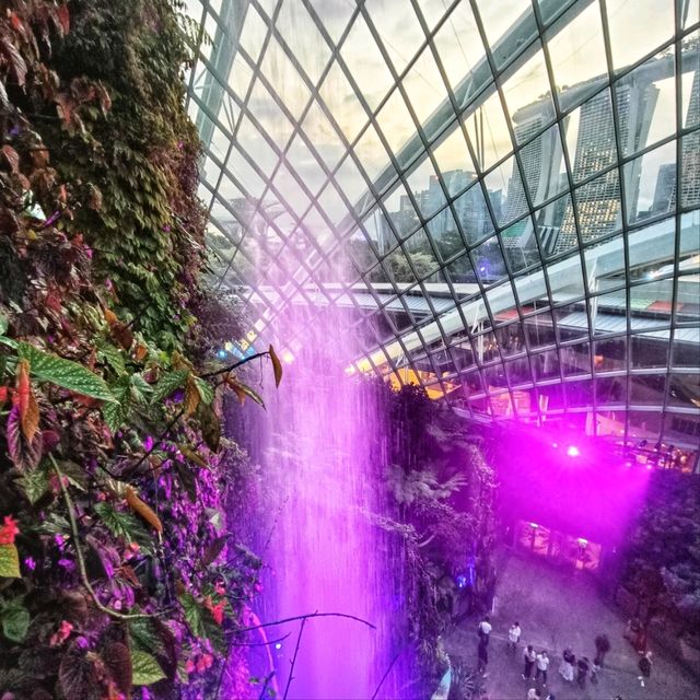 Cloud Forest สิงคโปร์