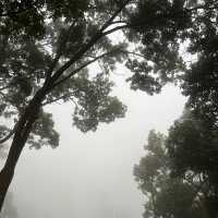 น้ำตกตาดฟานสวยมาก มีซิปไลน์ให้เล่น!