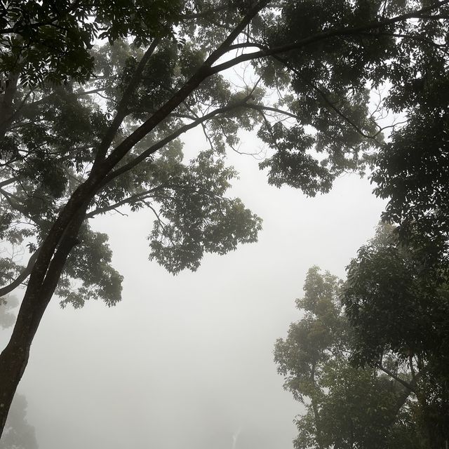 น้ำตกตาดฟานสวยมาก มีซิปไลน์ให้เล่น!