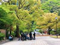 สวนสาธารณะกิฟุ (Gifu Park)🌳🌿