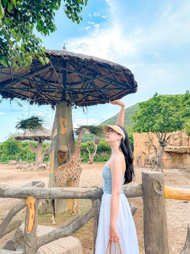 꼭 가볼 만한 나트랑의 디즈니랜드, 빈원더스 나트랑🎠