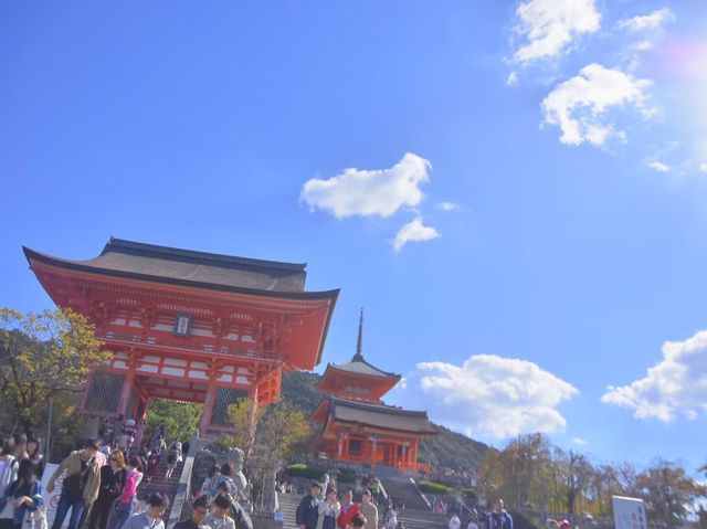 清水寺と清水寺周辺