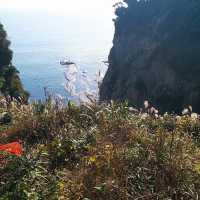 獨遊江之島. 鎌倉
