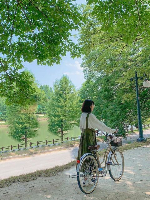 내가 여름의 담양을 좋아하는 이유🍃💚