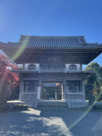 【東京都/小川寺】小平で美しい庭園が見られる寺院