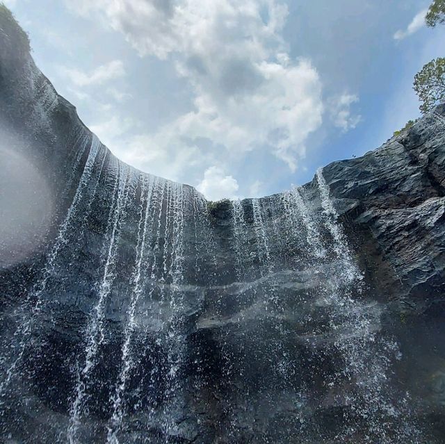 Mandai's Hidden Gem - The Gateway to Paradise
