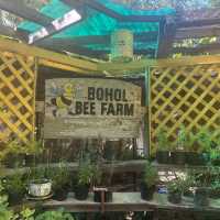 Don’t Miss Bohol Bee Farm in your Bohol Food Stop