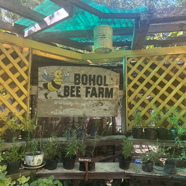 Don’t Miss Bohol Bee Farm in your Bohol Food Stop