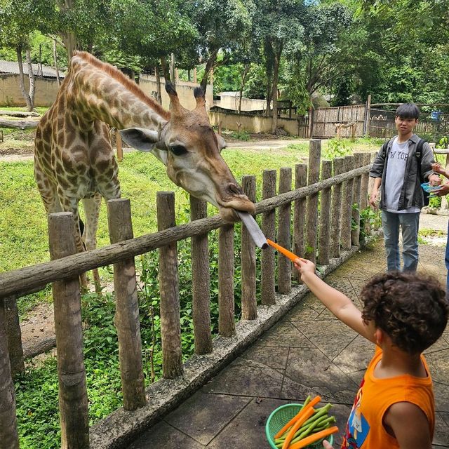 Chiang Mai Zoo