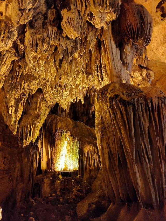 Wonderland in a Cave!