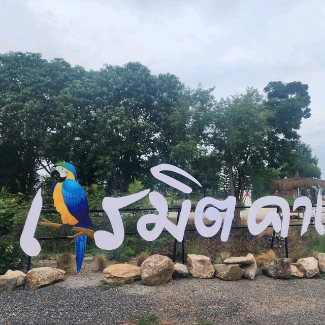 เดินชิล ณ เนรมิตคาเฟ่ @ชัยนาท