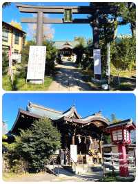 【東京都/鷺宮八幡神社】竹林が美しい神社