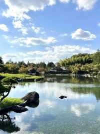 🌸🏞️🍵昭和紀念公園～自然的日式寶地🌸🏞️🍵