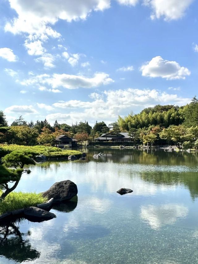 🌸🏞️🍵昭和紀念公園～自然的日式寶地🌸🏞️🍵