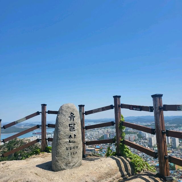 목포여행, 애견동반도 가능한 유달산 ⛰️ (목포 케이블카)