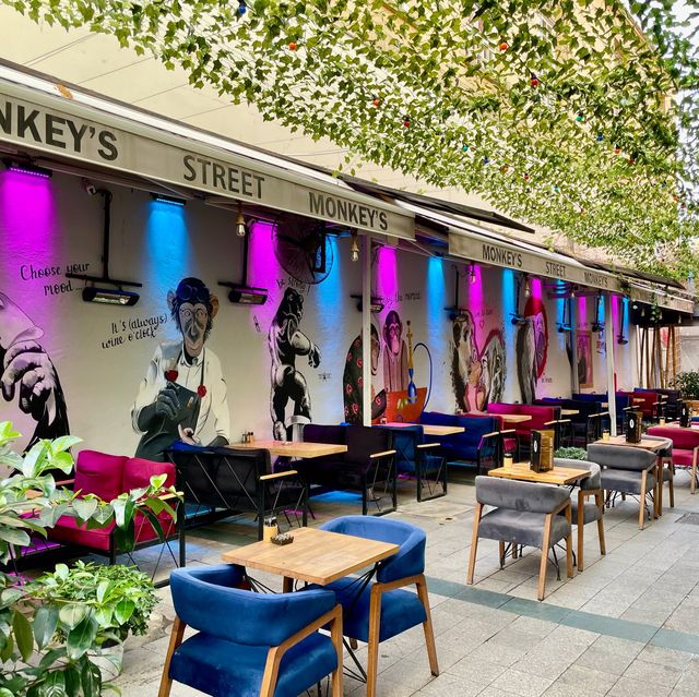 Tea Time Magic on Monkey Street