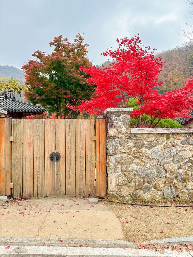 서울근교 가장 핫하다는 단풍명소 소개와 꿀팁🍁