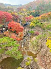 서울근교 가장 핫하다는 단풍명소 소개와 꿀팁🍁