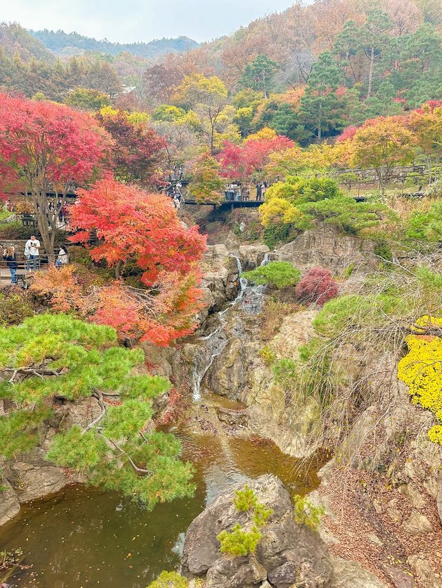서울근교 가장 핫하다는 단풍명소 소개와 꿀팁🍁