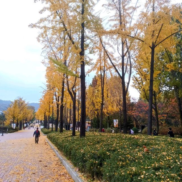 韓國必去免費親子遊 - 兒童大公園