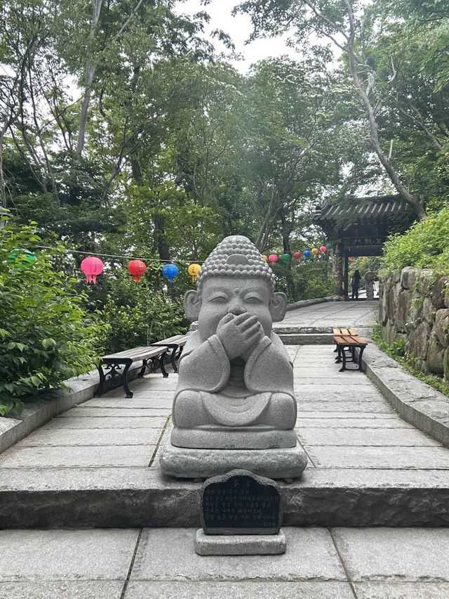 바다를 품은 아름다운 절, 여수 향일암🪷