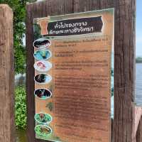 สะพานชมกวาง