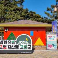 세계문화유산으로 등재된 대가야 고분군 보러가자.