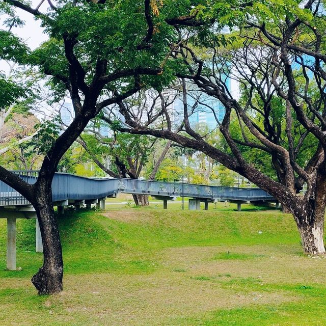ขับรถไปสวนเบญจกิติ