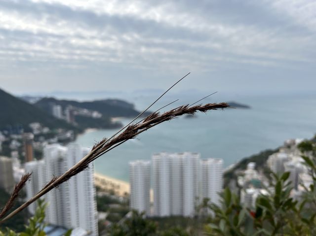 Wong Nai Chung trail down to Stanley