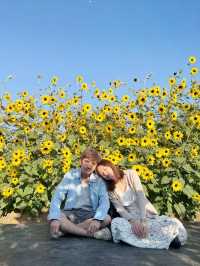 AGA Happy farm สวนดอกไม้แม่แตง เชียงใหม่